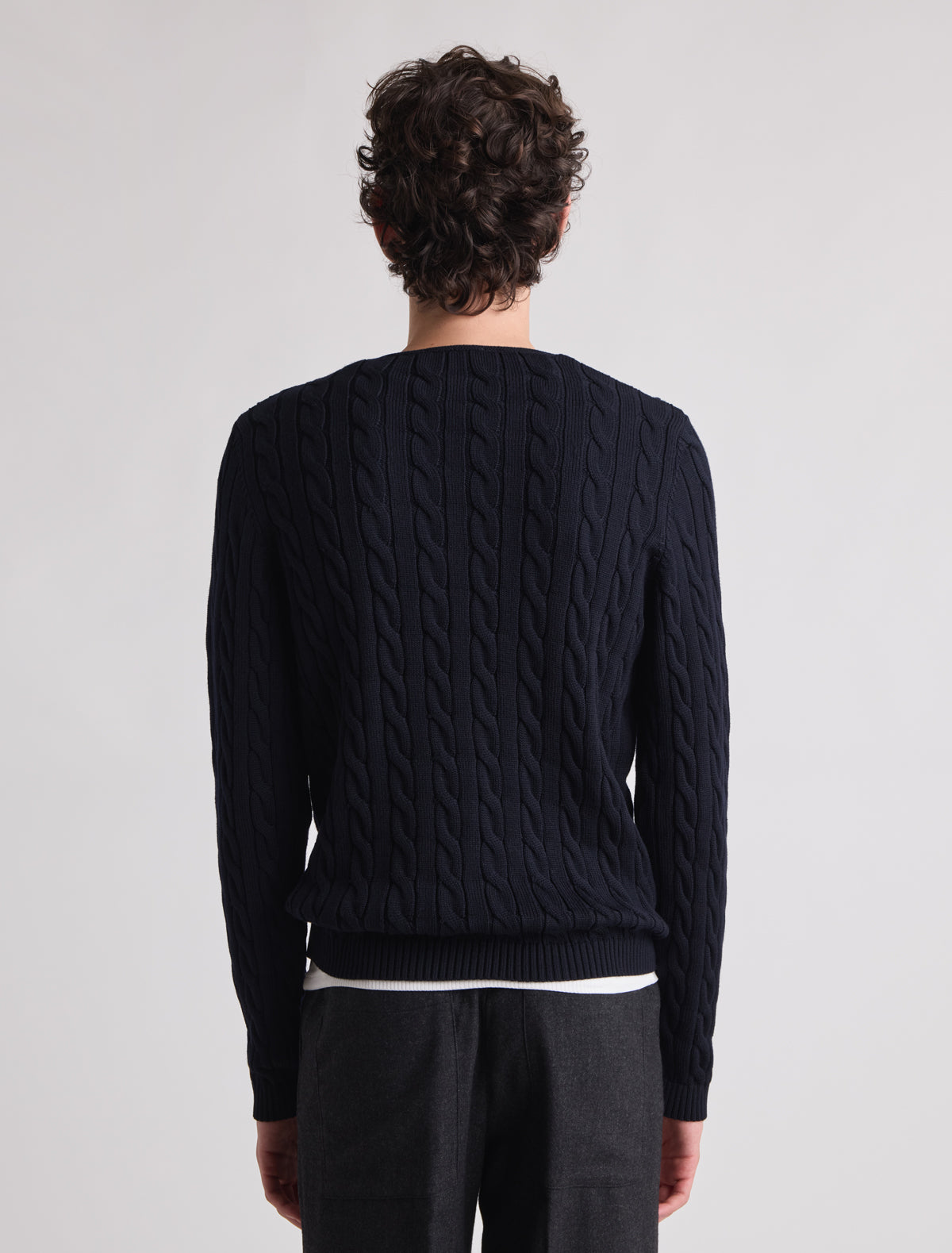 no 3095 / Lemur B